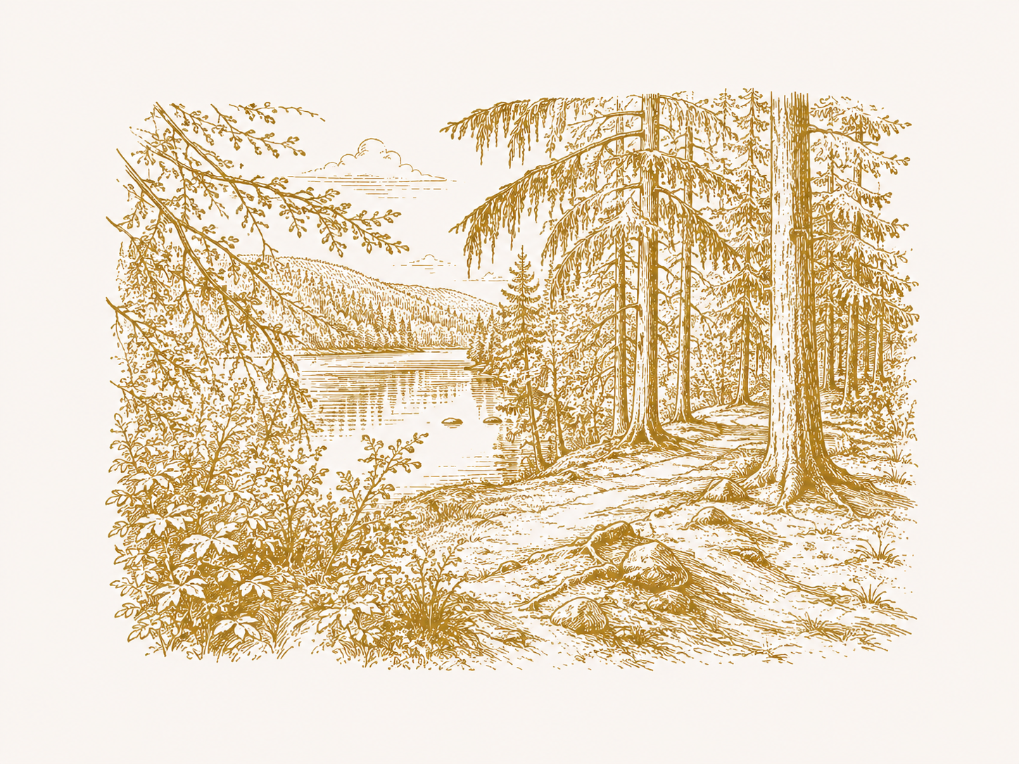 Wandern und Natur